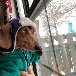 Meet your Posher, Angela